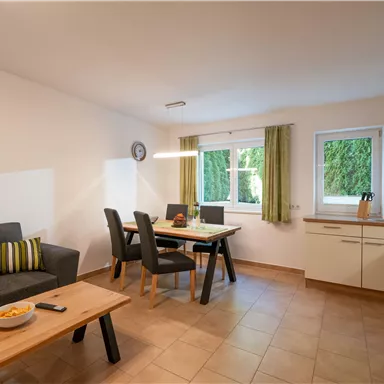 Ein gemütlicher Wohnraum mit einem Sofa, einem Esstisch und Stühlen. Die Küche ist modern und die Fenster bieten Sicht ins Grüne.