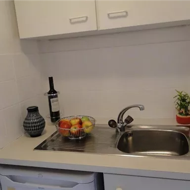 A small kitchen with a sink, fruit bowl, and a bottle of wine. A pot with a plant is on the counter.