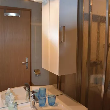 Ein modernes Badezimmer mit einem Waschbecken und einem Spiegel. Im Hintergrund ist eine Dusche und eine Holztür zu sehen.