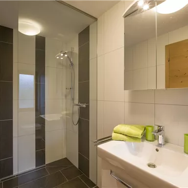 Ein modernes Badezimmer mit einer Duschkabine und einem Waschbecken. Die Wände sind hell gefliest, und grüne Handtücher sowie eine dekorative Pflanze sorgen für einen frischen Akzent.