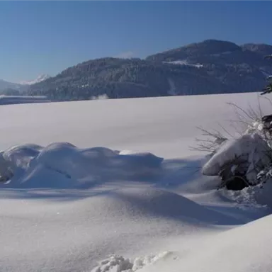 Eine wunderschöne Winterlandschaft mit schneebedeckten Hügeln und einem klaren blauen Himmel. Die sanften Schneeformen schaffen eine ruhige, friedliche Atmosphäre.