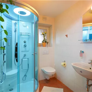 A modern bathroom with a shower cubicle and a sink. There are plants and orange towels that add a fresh accent.