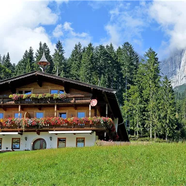 Ein traditionelles Haus in den Bergen, umgeben von saftigem Grün und hohen Bäumen. Im Hintergrund erhebt sich ein majestätischer Berg unter einem klaren Himmel.
