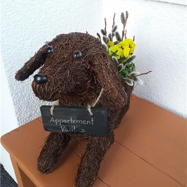 Eine niedliche Hundefigur aus Naturmaterialien steht auf einem Tisch. Sie hält ein Schild mit der Aufschrift "Appartement Vasilico" und hat Blumen im Rücken.