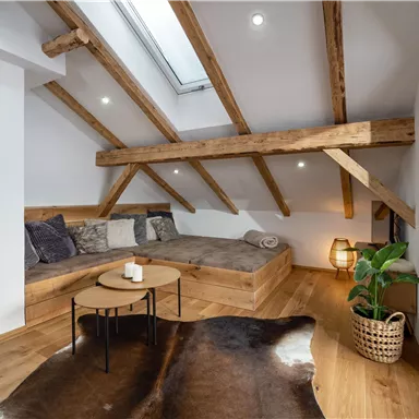 A cozy attic space with wood paneling and a modern touch. A skylight provides brightness, while a comfortable seating area and plants create a relaxed atmosphere.