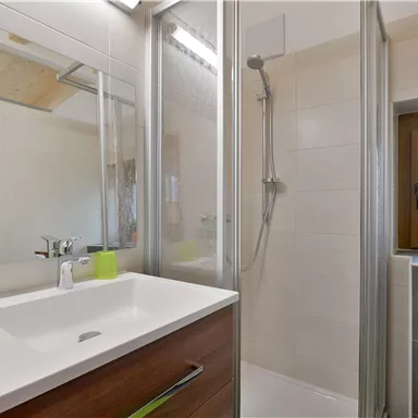 Ein modernes Badezimmer mit einer Dusche und einem Waschbecken. Die Wände sind hell und es gibt einige dekorative Pflanzen.