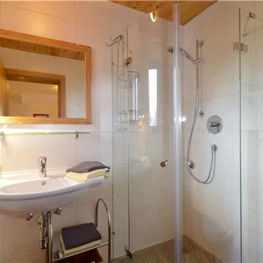 A modern bathroom with a glass shower and a sink. Plants and windows bring fresh light into the space.