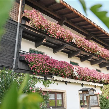 Ein traditionelles Haus mit Blumenkästen voller schöner Blumen. Der Balkon ist reich dekoriert und verleiht dem Gebäude eine einladende Atmosphäre.