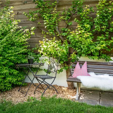 A cozy seating area in the garden with a bench and a table. Behind it, lush green shrubs and a tree are growing.