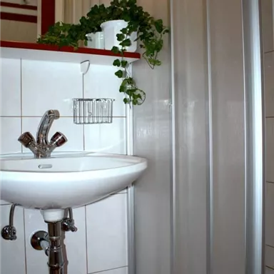 Ein Badezimmer mit einem Waschbecken und einer Duschkabine. Grünpflanzen verleihen dem Raum eine frische Note.