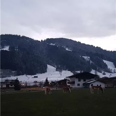 Eine ruhige Landschaft mit sanften Hügeln und schneebedeckten Flächen. Im Vordergrund grasen einige Pferde auf einer Wiese.