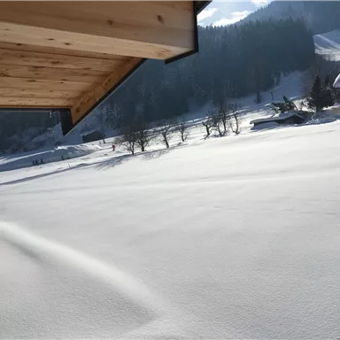 Ein verschneites Landschaftsbild mit einem klaren Himmel. Im Hintergrund sind Bäume und einige Gebäude zu sehen.