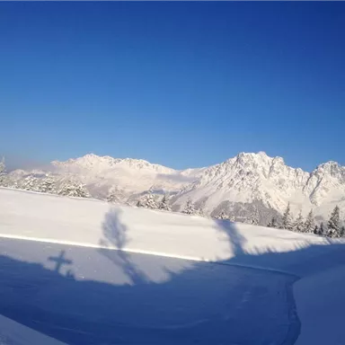 Eine verschneite Landschaft mit majestätischen Bergen im Hintergrund und klarem, blauem Himmel. Die Schatten der Bäume fallen sanft auf den Schnee.