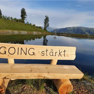 A wooden bench with the inscription "GOING strengthens" stands by the shore of a calm lake. In the background, green meadows and mountains can be seen.