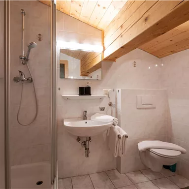 Ein modernes Badezimmer mit Holzdecke und hellen Fliesen. Es beinhaltet eine Dusche, ein Waschbecken und eine Toilette.