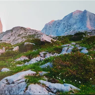 A majestic mountain landscape with rocky peaks and green meadows. Wildflowers bloom among the stones.