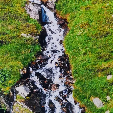 A small waterfall flows over rocks and green meadows. The clear current and the surrounding nature appear refreshing and inviting.