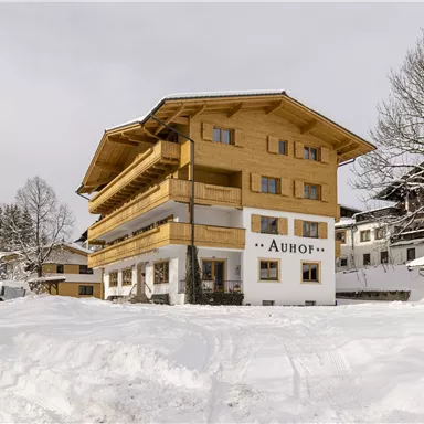 Ein schönes Holzhaus im Schnee, umgeben von Bäumen. Die Fassade ist hell und einladend, ideal für einen Winterurlaub.
