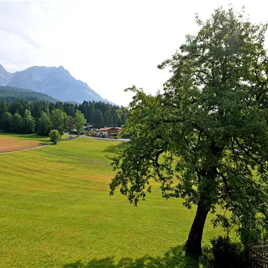Eine grüne Wiese mit einem großen Baum im Vordergrund und Bergen im Hintergrund. Im Hintergrund sind einige Gebäude sichtbar.