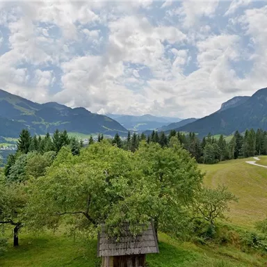 A picturesque landscape with gentle hills and wooded mountains. The sky is cloudy, and there is a tranquil atmosphere.