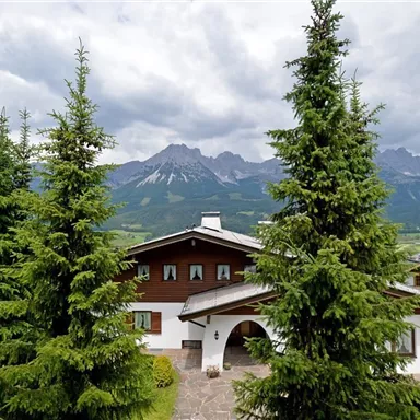A beautiful house surrounded by tall fir trees. In the background, impressive mountains and a cloudy sky can be seen.