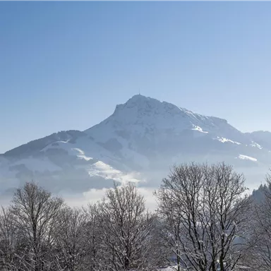 Ein schneebedeckter Berg erhebt sich majestätisch über einer nebligen Landschaft. Im Vordergrund sind kahle Bäume sichtbar.