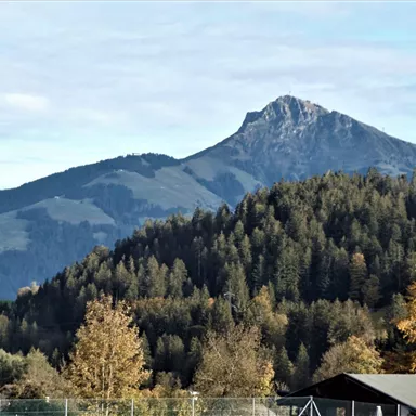 A majestic mountain landscape with a high peak in the background. In the foreground, trees rise in warm autumn colors.