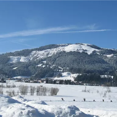 Eine schneebedeckte Landschaft mit einem großen, bewaldeten Berg im Hintergrund. Der klare blaue Himmel ergänzt die Winteridylle.