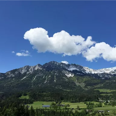 An impressive mountain landscape with snow-capped peaks and lush green meadows. The sky is clear and blue, with some white clouds.