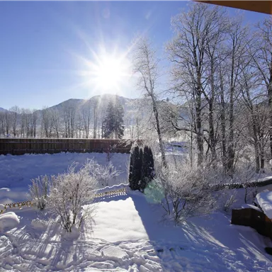 A beautiful winter landscape with snow-covered trees and bright sunshine. In the background, gentle hills are visible.
