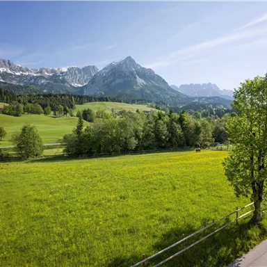 Eine idyllische Landschaft mit grünen Wiesen und sanften Hügeln. Im Hintergrund erheben sich majestätische Berge unter einem klaren Himmel.