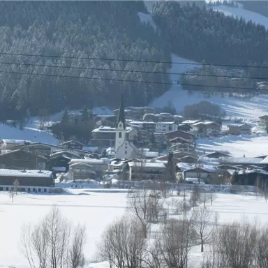 Eine verschneite Landschaft mit einem kleinen Dorf und einer hohen Kirche im Mittelpunkt. Umgeben von dichten, grünen Wäldern und Bergen.