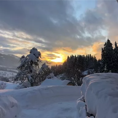 A snowy landscape with trees and mountains in the background. The sunset colors the sky in warm tones.