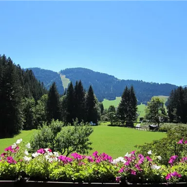 A picturesque landscape with green meadows and tall trees. In the foreground, colorful flowers are blooming and in the background, you can see the gentle hills.