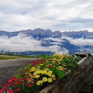 A blooming planter with colorful flowers is in the foreground. In the background, majestic mountains and clouds can be seen.