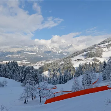 Eine winterliche Landschaft mit schneebedeckten Bäumen und Bergen im Hintergrund. Eine orangefarbene Piste fügt einen Farbtupfer hinzu.