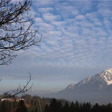 Eine beeindruckende Berglandschaft mit schneebedeckten Gipfeln und einem klaren, wolkigen Himmel. Im Vordergrund sind kahle Äste eines Baumes zu sehen.