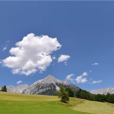 Eine malerische Berglandschaft mit hohen Gipfeln und grünem Gras. Der Himmel ist klar und blau, mit wenigen weißen Wolken.