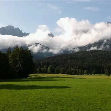 A green meadow surrounded by trees and mountains. White clouds hang over the mountains in the blue sky.