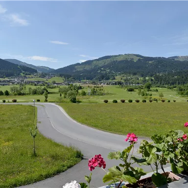 Eine schöne Landschaft mit sanften Hügeln und einem klaren blauen Himmel. Im Vordergrund blühen bunte Blumen und eine ruhige Straße verläuft durch die Wiesen.