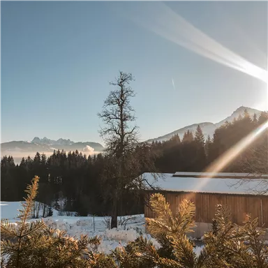 Eine Winterlandschaft mit schneebedeckten Bergen und einem klaren blauen Himmel. Im Vordergrund ist ein Holzhaus und ein einzelner Baum sichtbar.