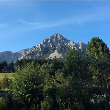 Ein majestätischer Berg unter einem klaren blauen Himmel. Umgeben von Bäumen und einer grünen Landschaft.