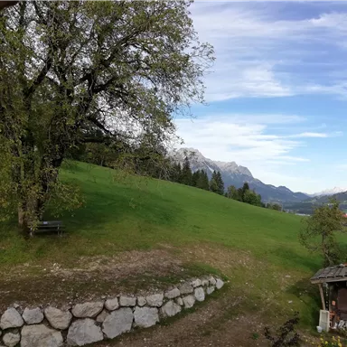 A green meadow with an old tree and a view of mountains in the background. The sky is partly cloudy with blue sky.