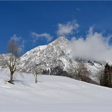 A snow-covered mountain with a clear blue sky and a few clouds. In the foreground, bare trees and forests can be seen.