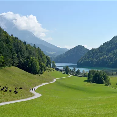 Eine malerische Landschaft mit grünen Wiesen und einem klaren See. Im Hintergrund sieht man Berge und einen blauen Himmel.