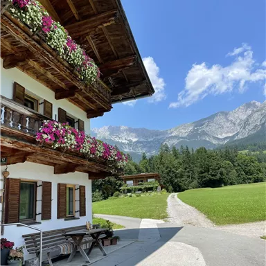 Ein traditionelles chalet mit bunten Blumen in den Fenstern und einer schönen Berglandschaft im Hintergrund. Der Weg führt durch eine grüne Wiese zu den Bergen.