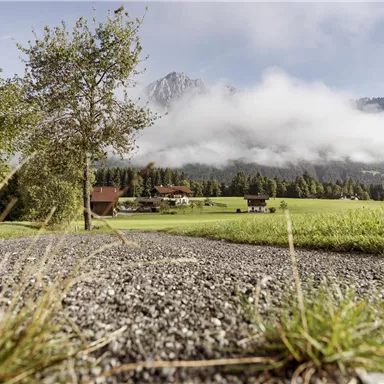 A picturesque landscape with green meadows and gentle hills. In the background, mountains and a cloudy sky can be seen.