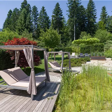 A beautiful garden with loungers and green plants. In the background, trees and a swimming pool can be seen.