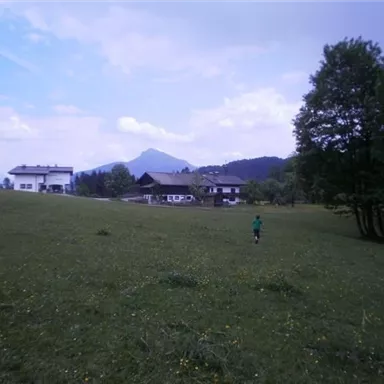 Eine ruhige Wiese mit einem Kind, das in Richtung der Berge läuft. Im Hintergrund sind traditionelle Häuser und eine schön bewaldete Landschaft zu sehen.