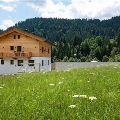 Ein neugebautes Haus aus Holz steht in einer grünen Wiese. Im Hintergrund sind Wälder und sanfte Hügel zu sehen.